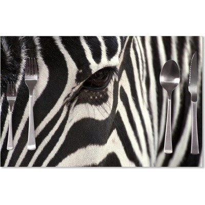 Sablio Prestieranie Detail zebra 40x30cm