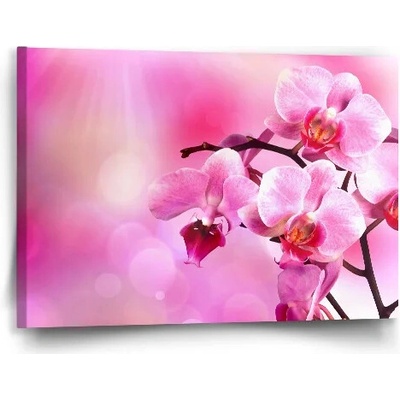 Sablio Obraz Kvety orchidey - 60x40 cm