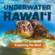 Underwater Hawai'i Exploring the Reef A Children's Picture Book about Hawai'i Riegert Keith