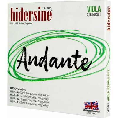 Hidersine Andante Viola Set 4/4 - 3/4