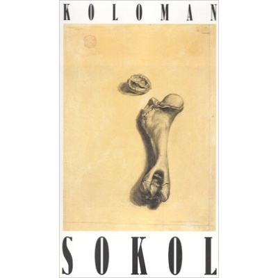 Koloman Sokol
