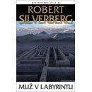 Muž v labyrintu