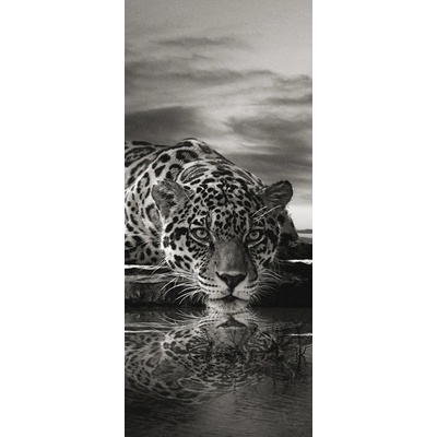 Preinterier DV0103 Fototapeta na stenu Jaguar vlies 91cm x 211cm
