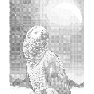ZUTY Bodkovanie - PAPAGÁJ A MESIAC Rámovanie: vypnuté plátno na rám, Rozmer: 40x50 cm