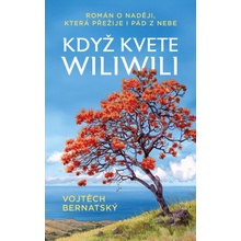Když kvete wiliwili - Román o naději, která přežije i pád z nebe