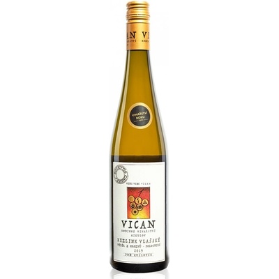 Vican Ryzlink vlašský Výběr z hroznů 13,5% 0,75 l (holá láhev)
