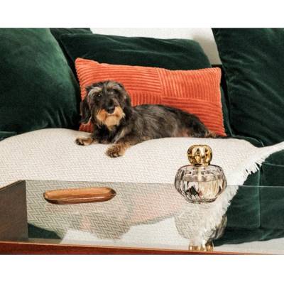 Maison Berger Paris Дифузер 310 ml (4862)