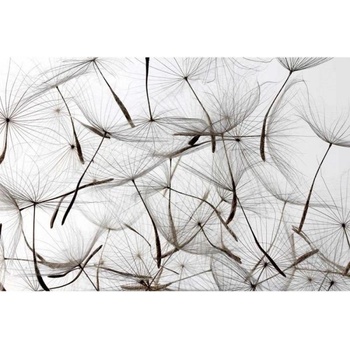 DIMEX ART s. r. o Флизелинов фототапет пух от глухарче 375 x 250 см