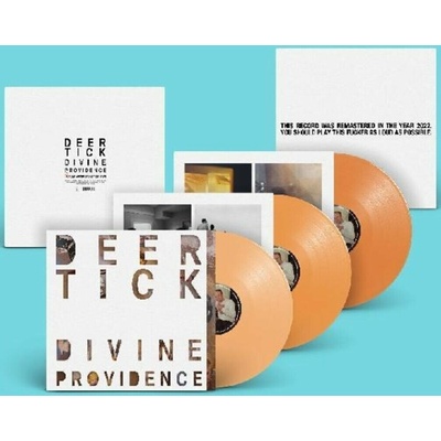 Divine Providence - Deer Tick LP