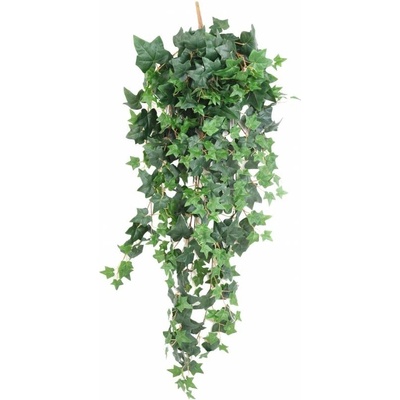 Anglický umelý brečtan popínavý, 130cm
