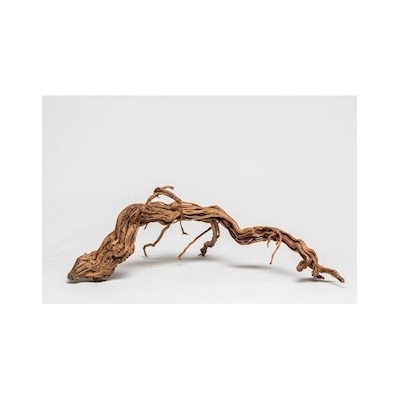 Macenauer kořen Curl Wood S 30-55 cm