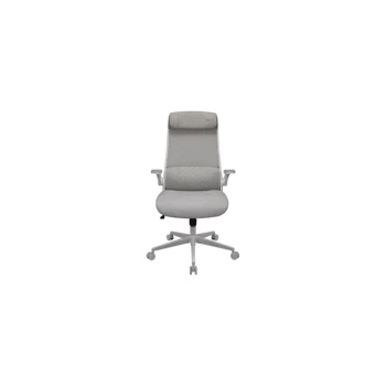 Image 1 of COUGAR COUGAR Stryder White Gaming Chair (CGR-STD-ASW)
