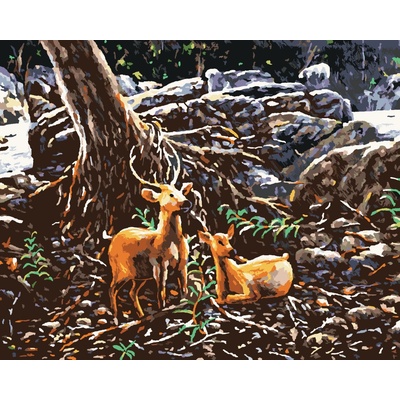 ZUTY Maľovanie podľa čísel DVA JELENIA V LESE Rámovanie Rozmer 80 x 100 cm