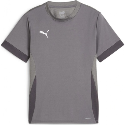 Puma teamGOAL Matchday Jersey jr šedá