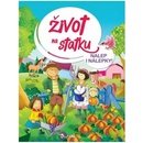 Život na statku