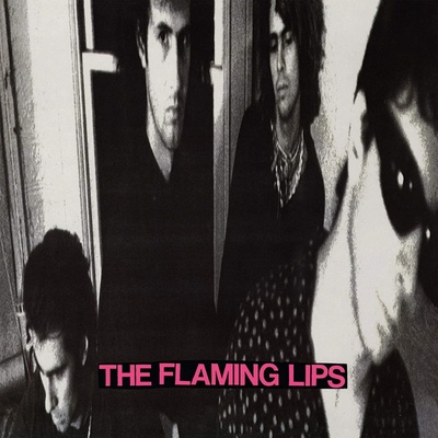 FLAMING LIPS: IN A PRIEST DRIVEN AMBULA LP