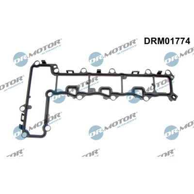 DR.MOTOR AUTOMOTIVE Tesnenie veka hlavy valcov DRM01774