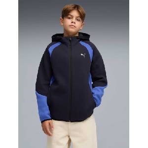 PUMA Суитшърт EVOSTRIPE Full-Zip Hoodie DK B (69250916)
