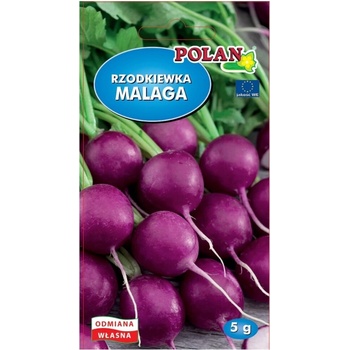 Semená Polan Reďkovka Malaga fialová 5 g