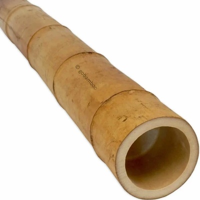 Bambusová tyč Moso Ø 9-10 cm x 100 cm