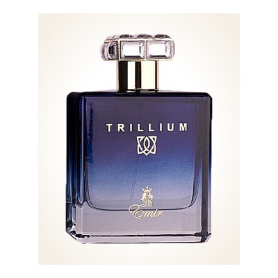 Paris Corner Emir Trillium parfémovaná voda pánská 100 ml