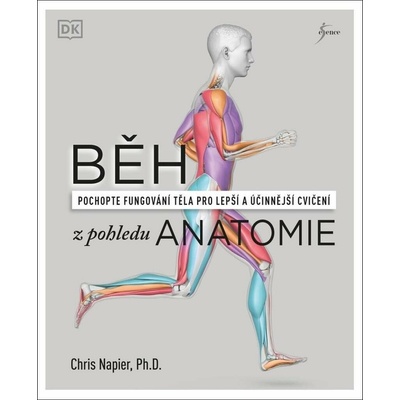 Běh z pohledu anatomie