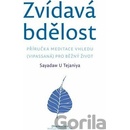 Zvídavá bdělost