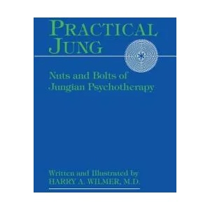 Practical Jung | Harry a Wilmer (ISBN: 9781630512668)