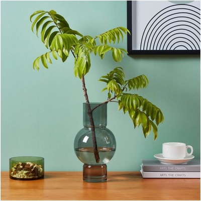 Eglo Eglo 421231 - Sklenená váza AMPITABE 28x15,5 cm čierna EG421231