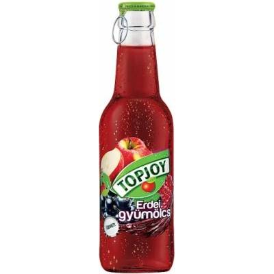 Top Joy Lesné ovocie 25% 24 x 250 ml