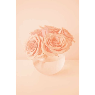 Plakát, Obraz - Roses in the color of 2024 year Peach Fuzz, Anna Blazhuk, 26.7 × 40 cm