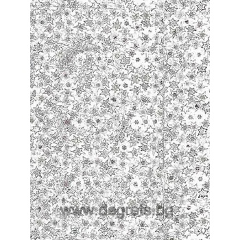 Image 1 of Фолио Звезди сребрист металик