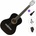 Pasadena SC041 Standard SET 4/4 Black Класическа китара