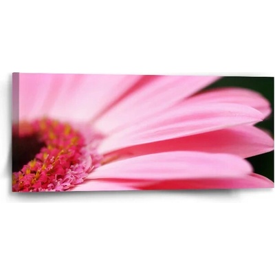 Sablio Obraz Ružová gerbera - 110x50 cm