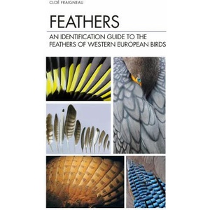 Feathers (ISBN: 9781472971722)