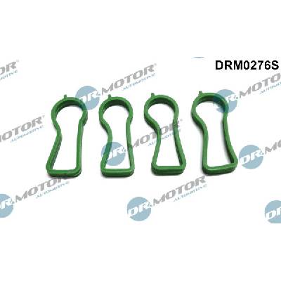 DR.MOTOR AUTOMOTIVE Sada tesnení kolena nasávacieho potrubia DRM0276S