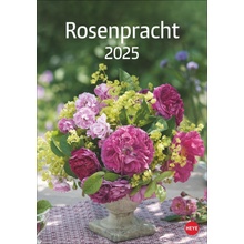 Rosenpracht 2025