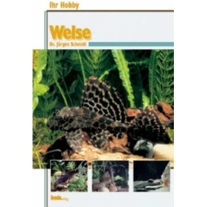 Welse | Jürgen Schmidt (ISBN: 9783931792756)