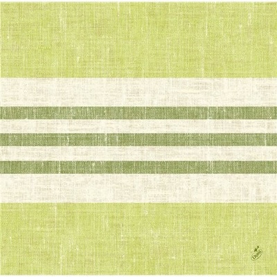 SAHM Obrúsok DSF RAYA KIWI 100024987 40x40cm 60ks