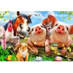 Bluebird Puzzle - Puzzle Petting Farm 300 - 300 piese