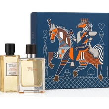 Hermès Terre D´ Hermes EDT 50 ml + sprchový gel 40 ml dárková sada