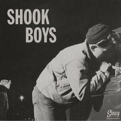 Iain Matthews - Shook LP