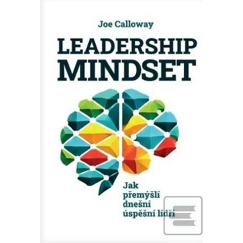 Leadership mindset