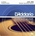 D'Addario EJ37 Струни за акустична китара (EJ37)