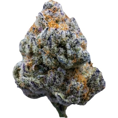 Growers Choice Platinum Mimosa Cookies Fast Version semena neobsahují THC 5 ks