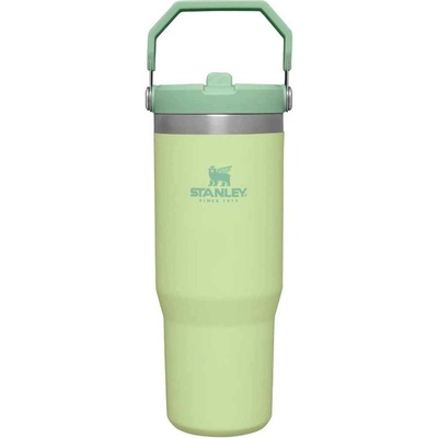 Stanley IceFlow Flip Straw Tumbler 0,89 l Citron – Zbozi.Blesk.cz