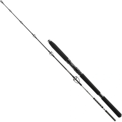 Daiwa BG Ses Jigger 1,7 m 150-400 g 1+1 díl