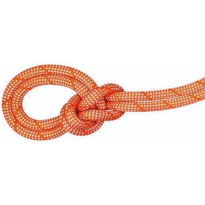 Mammut 9.8 Crag Classic Rope 40m