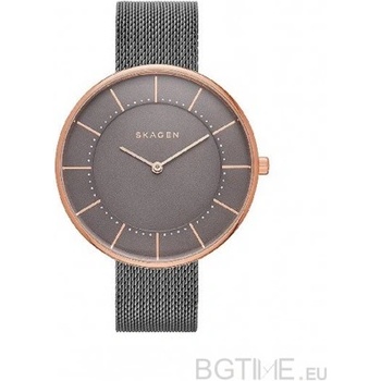 Skagen SKW2584