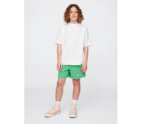 Gap Sport Zelená